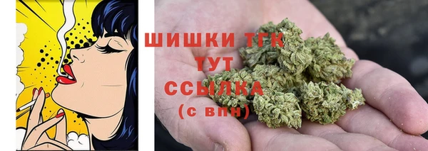 PSILOCYBIN Алексеевка