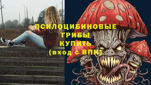 ешки Алексин