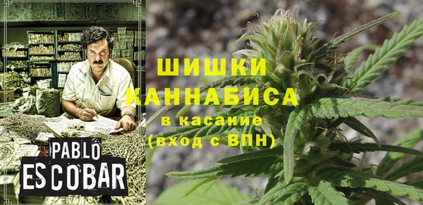 PSILOCYBIN Алексеевка